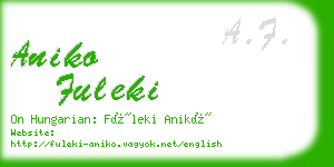 aniko fuleki business card